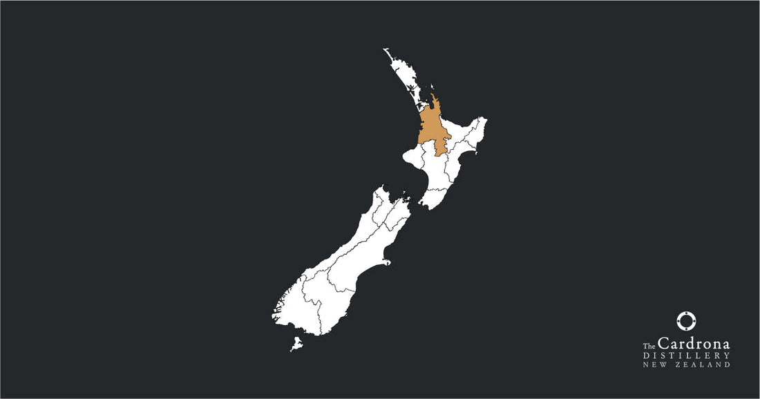 NZ-WKO