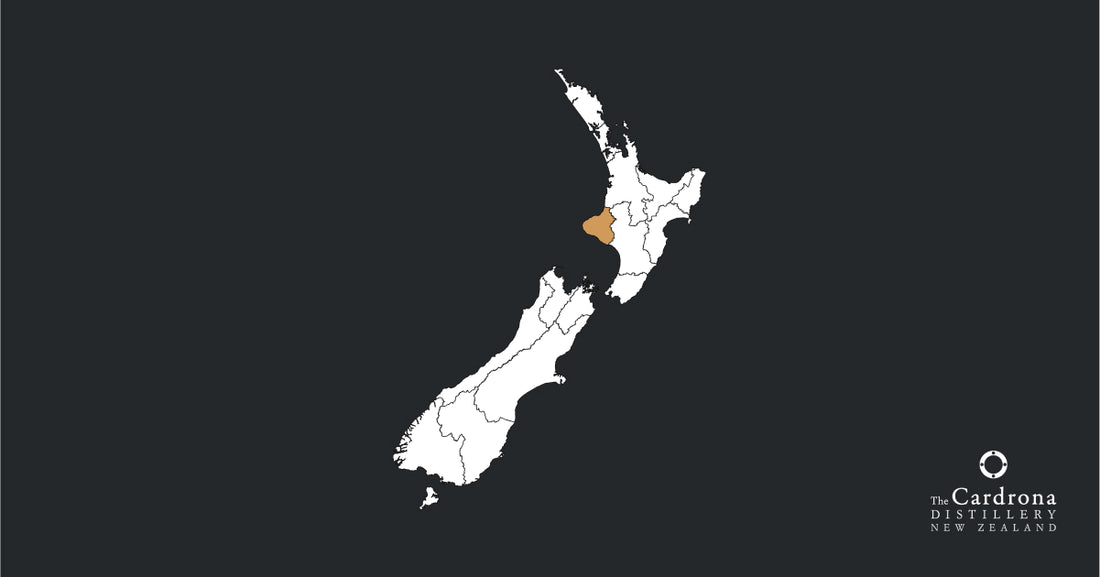 NZ-TKI